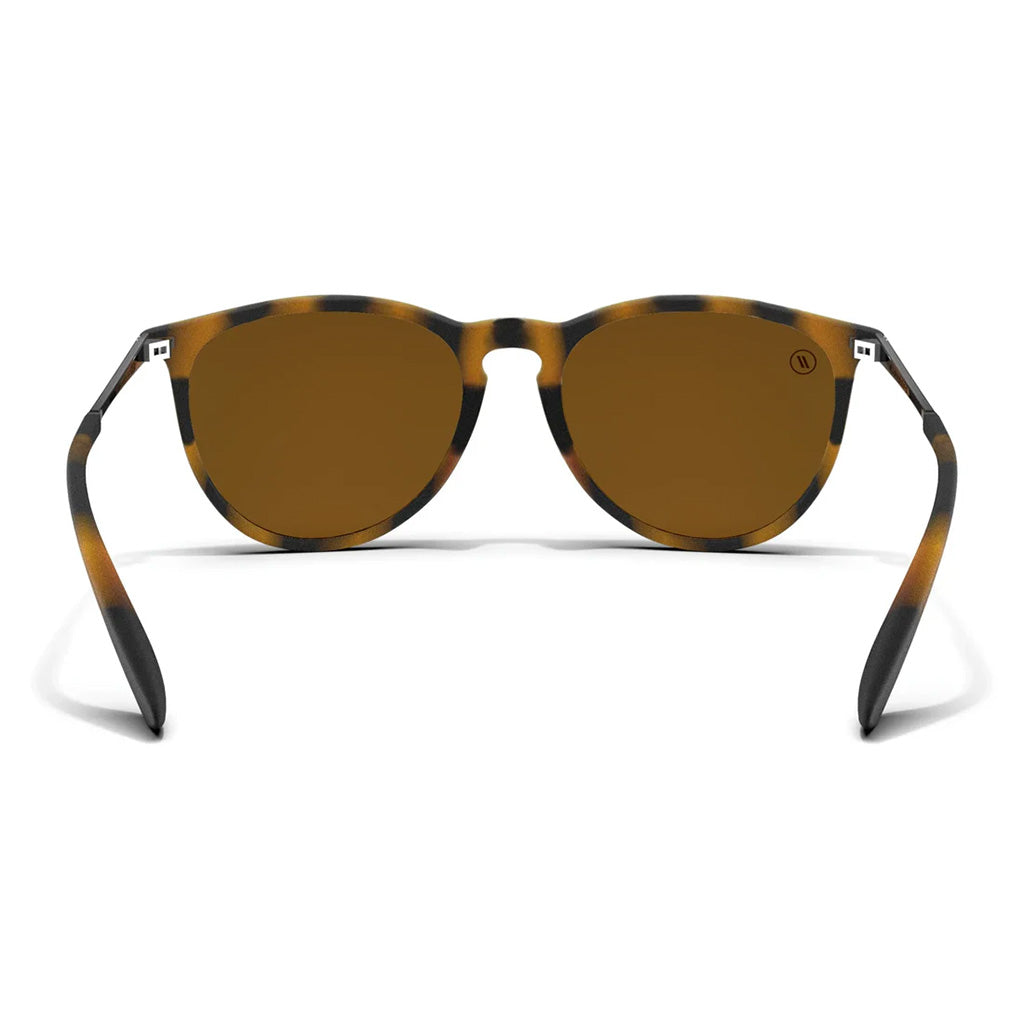 Blender Sunglasses - North Park - Rose Theater