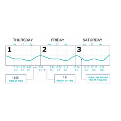 Tidelines Standard Tideline Oregon Calendar - Graphed Calendar