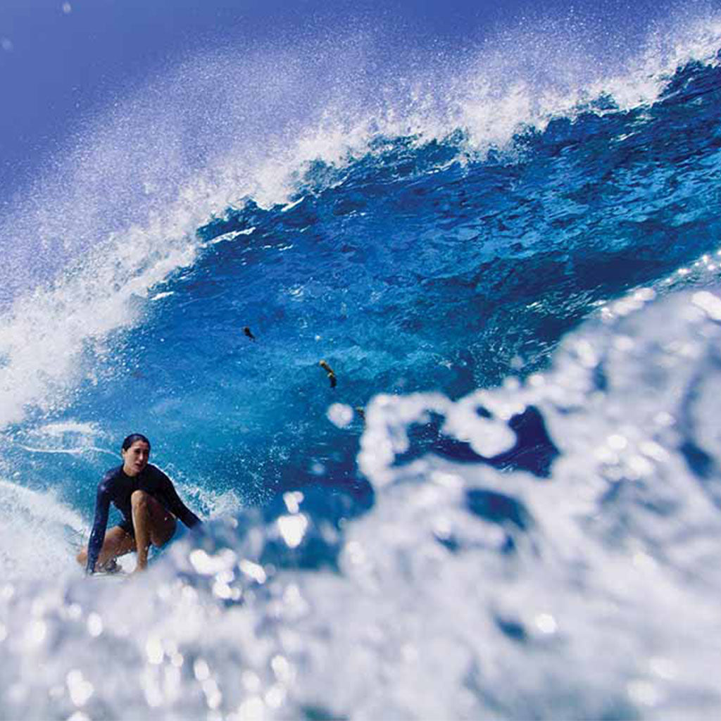 Tidelines Standard Tideline Oregon Calendar - Graphed Calendar