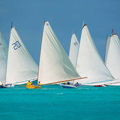 Tidelines Standard Tideline Oregon Calendar - Graphed Calendar