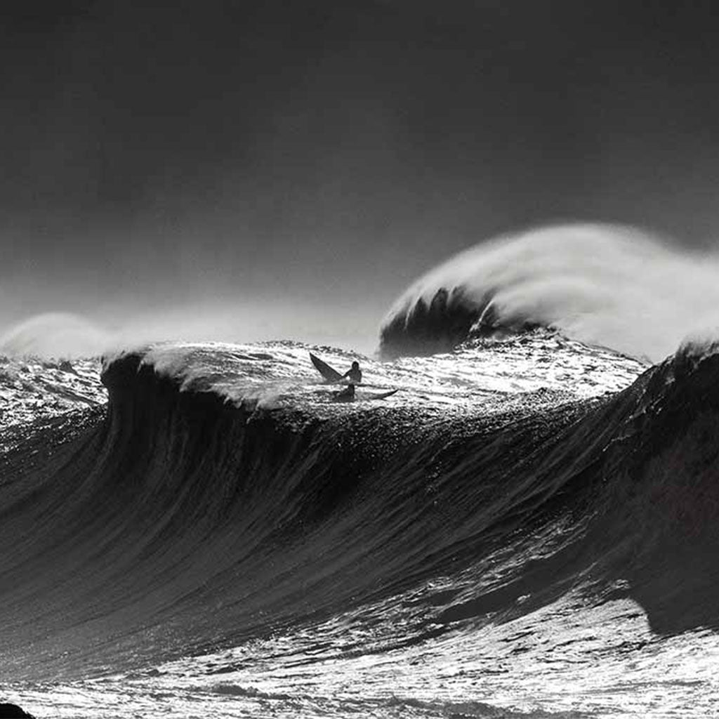 Tidelines Standard Tideline Oregon Calendar - Graphed Calendar