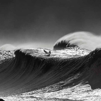 Tidelines Standard Tideline Oregon Calendar - Graphed Calendar