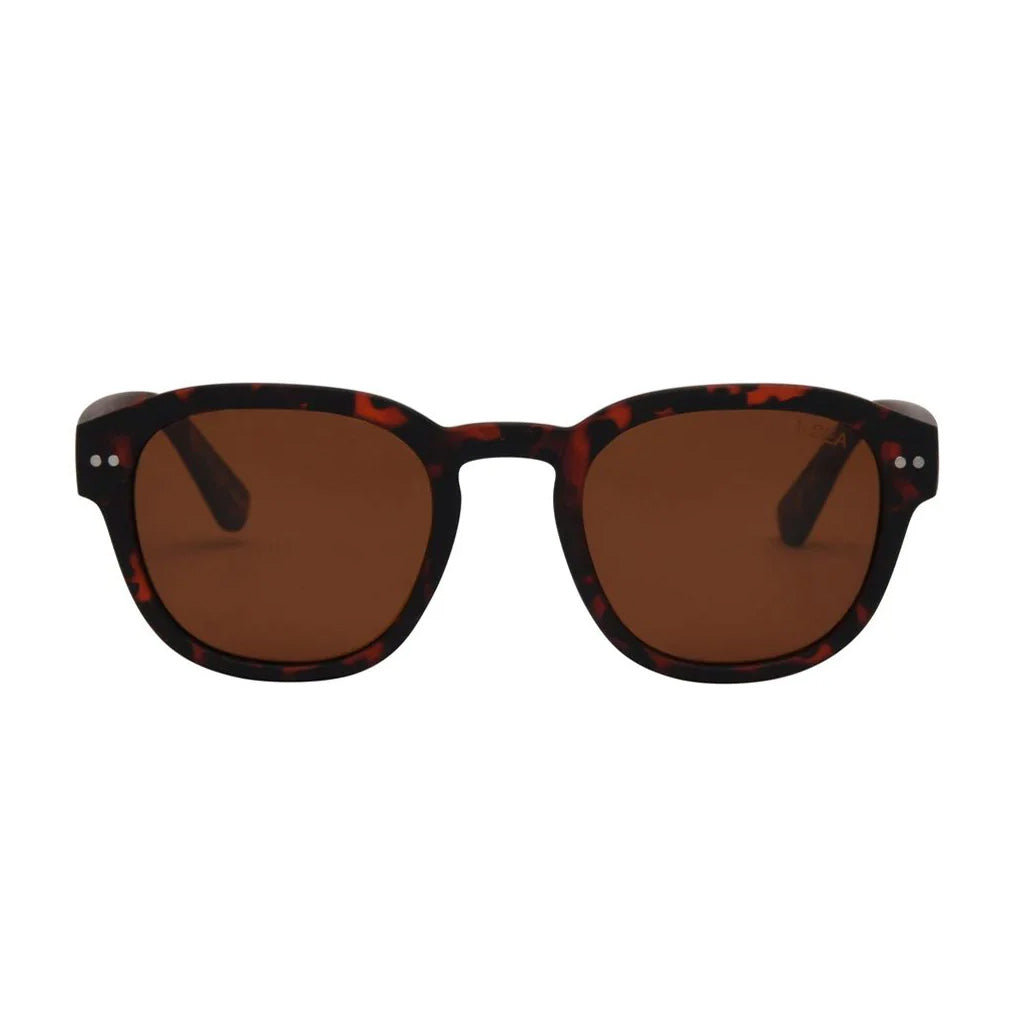 I-SEA Barton - Tort/Brown Polarized