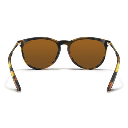 Blender Sunglasses - North Park X2 - Brandy Night